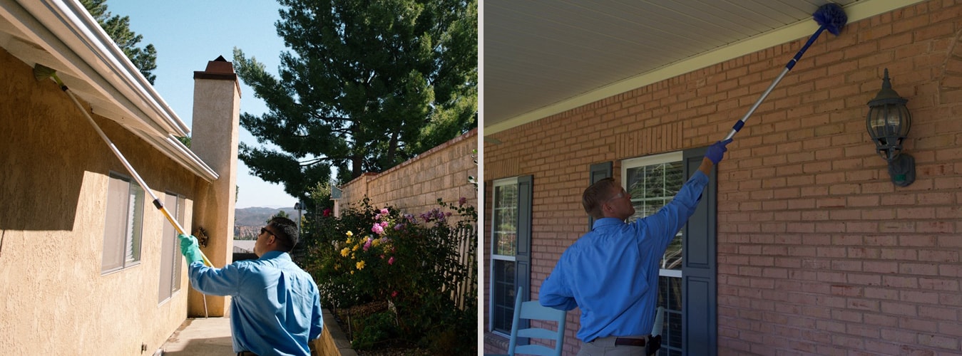 Pest Control & Exterminator Kitchener, Waterloo, Cambridge, Guelph