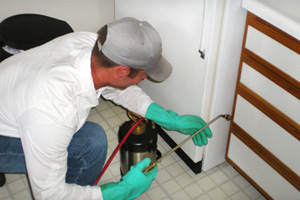 Pest Control Exterminator Kitchener Waterloo Cambridge Guelph