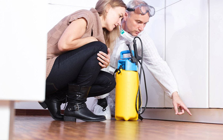 A pest control technician working closely with a woman to exterminate an infestation