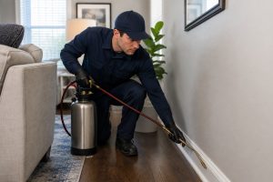A professional pest control technician spraying the baseboards in a living room.