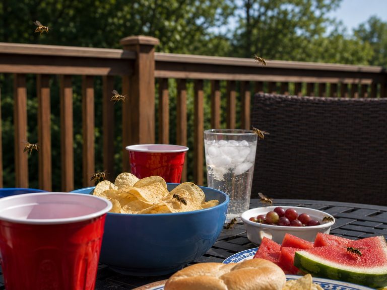 Wasps flying around snacks and drinks on a n outdoor deck table.