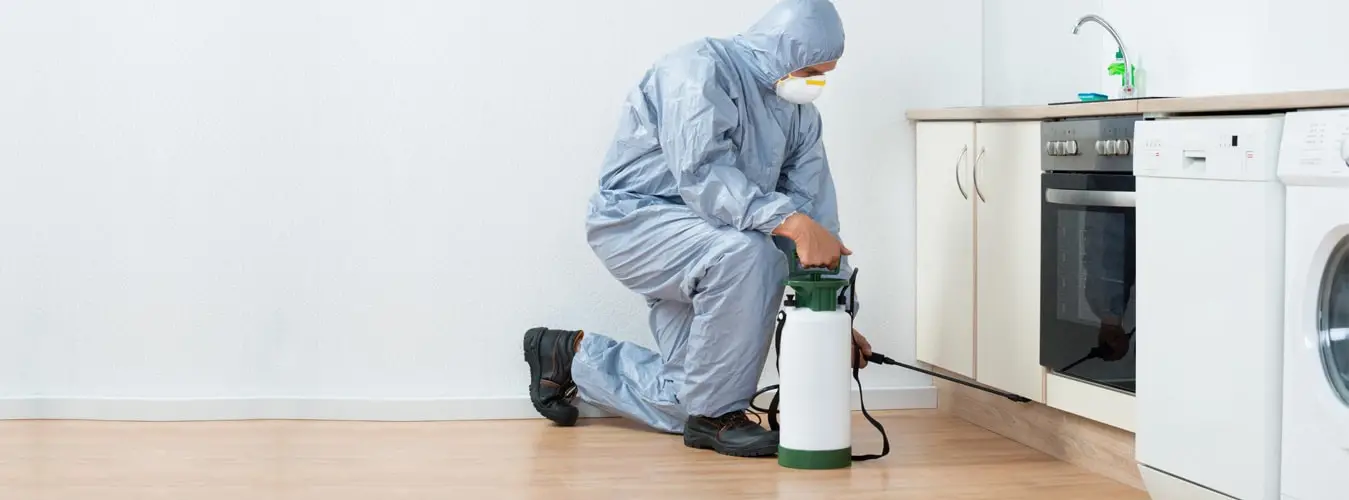 Pest control technician in a protective suit spraying treatment along kitchen baseboards in a Kitchener-Waterloo home