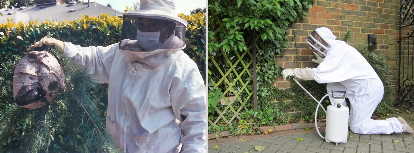Pest control technician in a protective suit treating the outside of a home, pest control in Kitchener-Waterloo